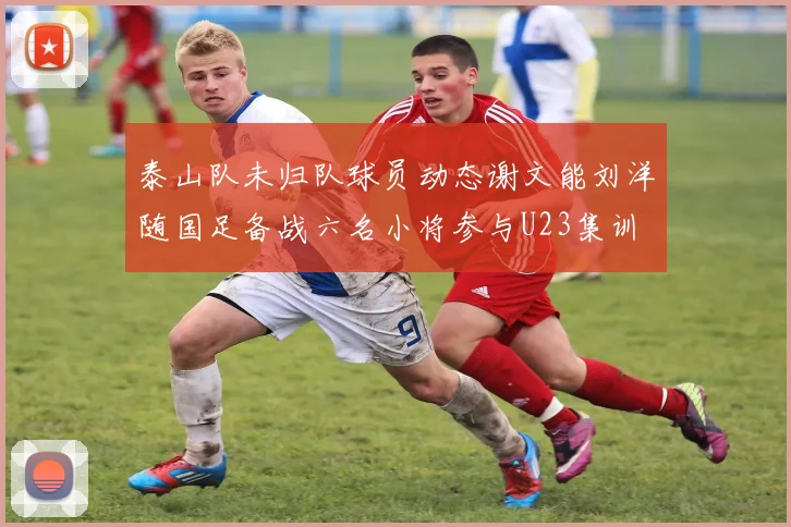 泰山队未归队球员动态谢文能刘洋随国足备战六名小将参与U23集训