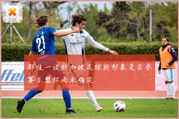 邵佳一谈新加坡足球新形象是否参赛东盟杯尚未确定